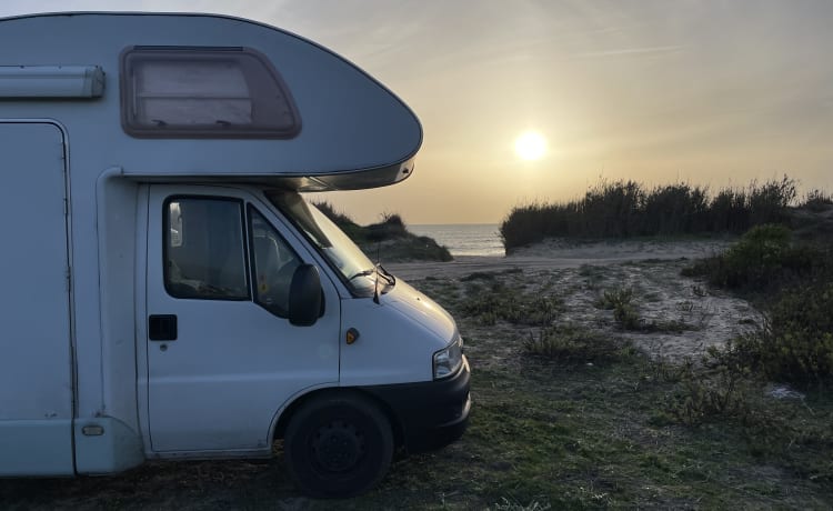 Miss Honey –  Der stilvollste Familiencamper sucht herzliche Abenteurer!