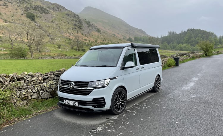 SILVERFOX – 4-persoons Volkswagen campervan uit 2021