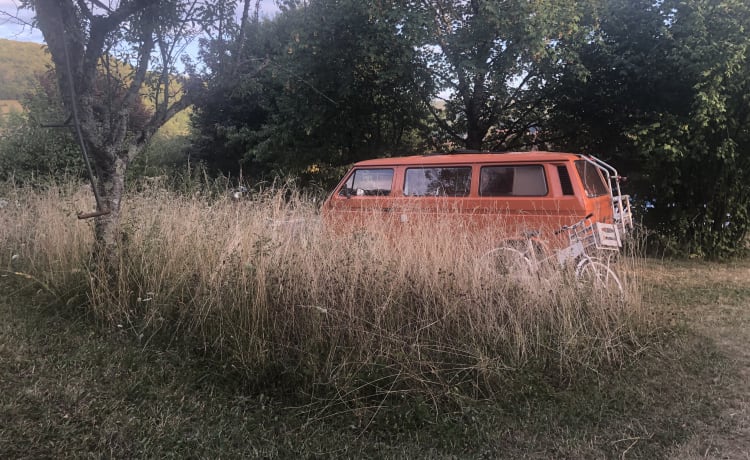 Besje – Gemütlicher 2er Volkswagen T3 Bus 'Besje' von 1981