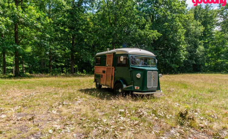 Woody – Klassieke Citroen HY 1976 buscamper