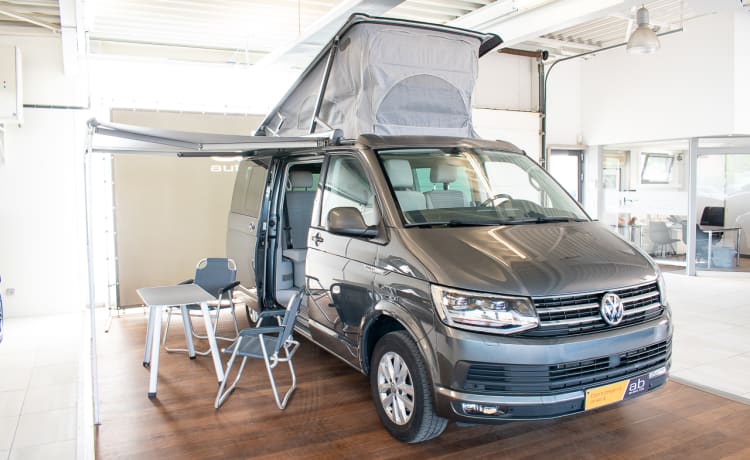 Bulli – 4p Volkswagen T6 California Ocean campervan uit 2020