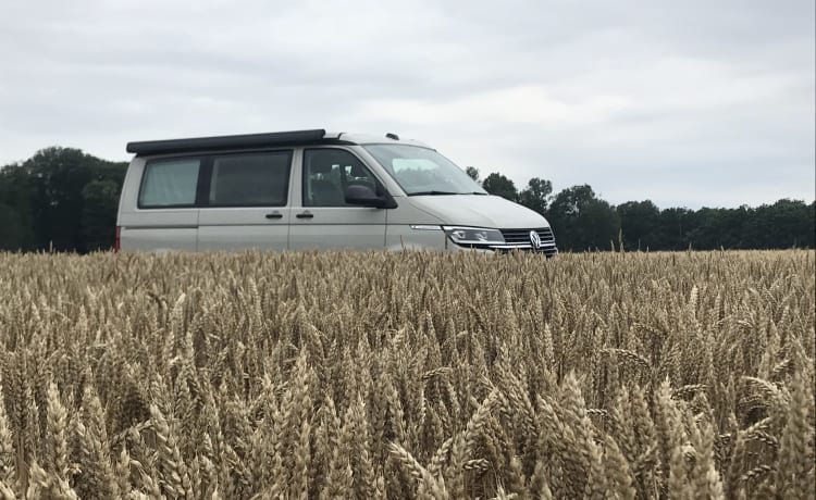 Jimo – Van VW California Nine für 4