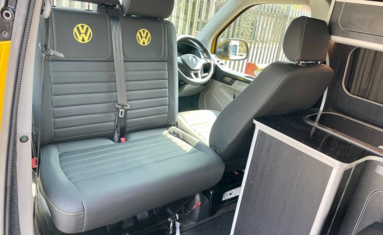 Bee – Maak kennis met Bee - VW CamperVan T6