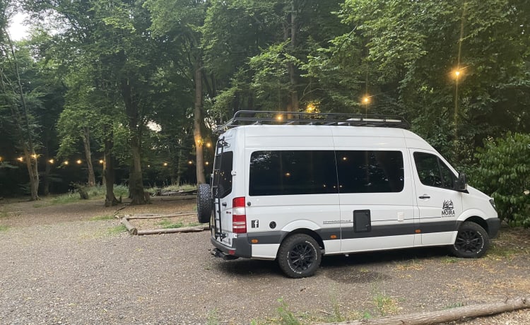 Mr Adventure  – Mercedes-Benz Adventure Van mit 2 Schlafplätzen