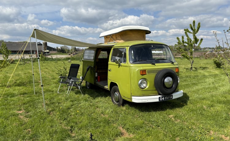 The Hulk – Westfalia – Bellissimo camper classico in affitto! 