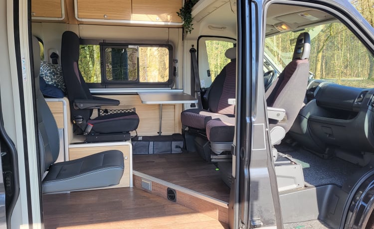 Buszz – Hymer RIo '14, 4 places/2 chambres. Compact, étonnamment spacieux