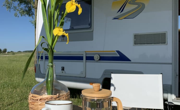 Mr. Vincent – The most classic motorhome in the Netherlands - Mr. Vincent