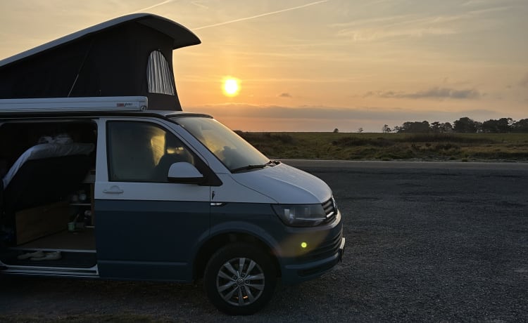 Vanny Blue – Luxuriöser und attraktiver VW-Wohnmobil Woodpecker – 4 Personen