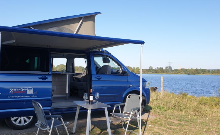 Blauw – Camping-car Volkswagen T5 California Bus avec toit relevable.