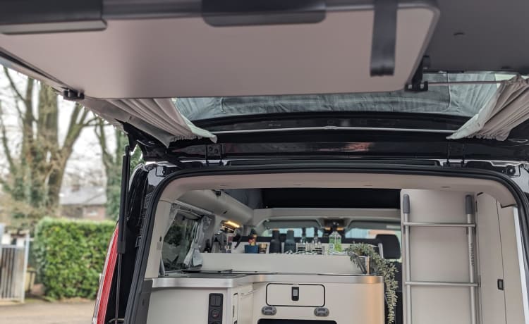 NUGGY POP TOP PLUS – 4p Ford campervan from 2023