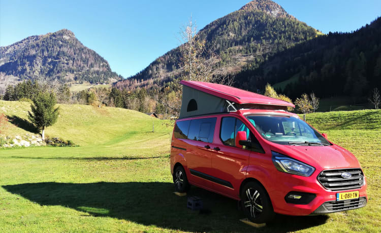 Ford Nugget uit 2021 – Travel in Red