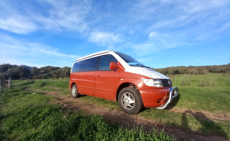 VANTASTIK RENTAL CAMPERVAN – MERCEDES MARCO POLO - CAMPING-CAR DE LOCATION VANTASTIK