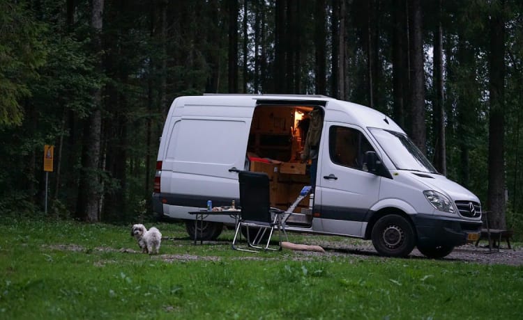 Camper bus Mercedes-Benz d'atmosfera per 2 persone "My Benz"