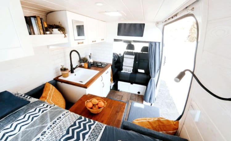 Debie The Van – Self-build Mercedes Sprinter surf bus