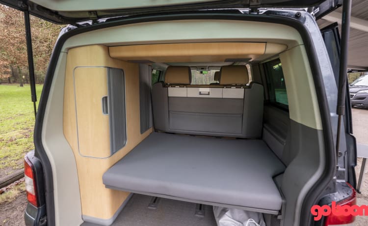 Stein – Volkswagen T5 California 4motion