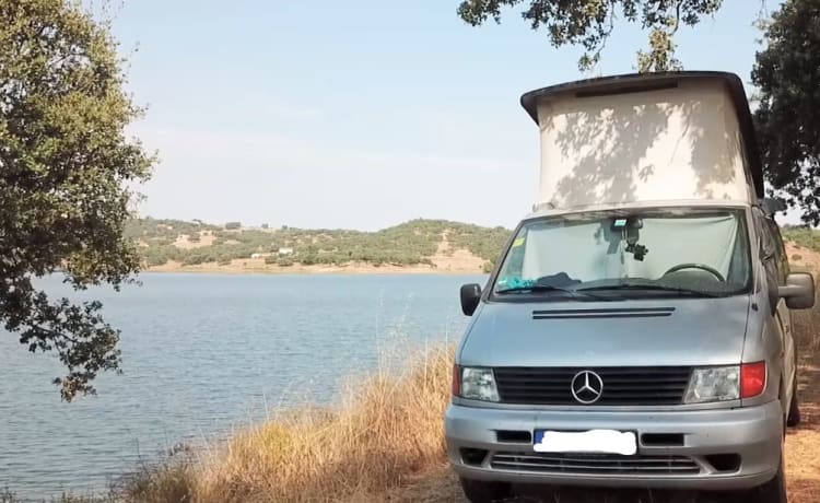 Ale – Mercedes Westfalia Vito Marco polo