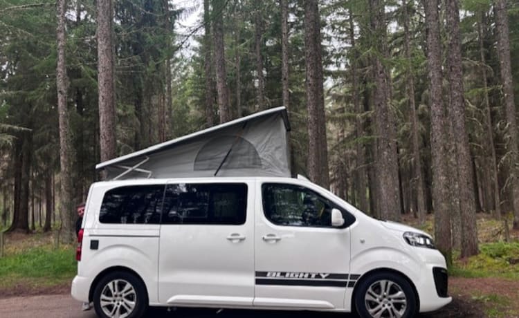 Blighty – Neuer Pop Top Campervan 4 Schlafplätze