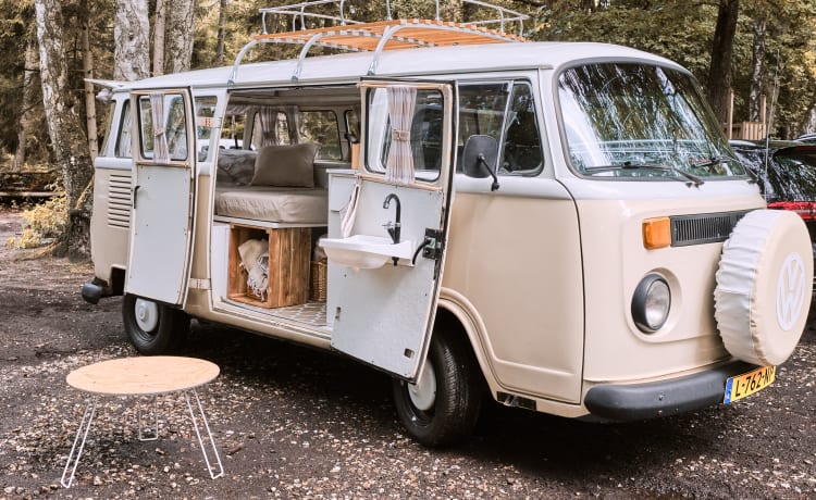 Tiny Finy Volkswagenbus Twente – Camping-car romantique et boutique