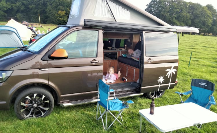 Vinnie – 4 berth Volkswagen Transporter T6 campervan