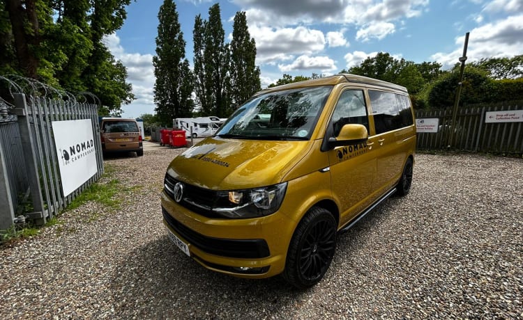 Goldie LONDON – RK69RPY - Avontuur met Goldie, de 4-persoons nomaden Volkswagen