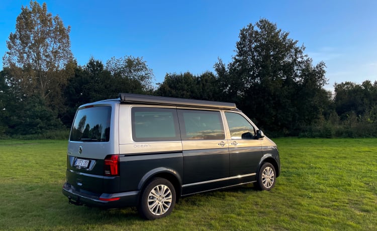 JEAN – JEAN- 4p Volkswagen California Ocean full option 2023 - Automatic