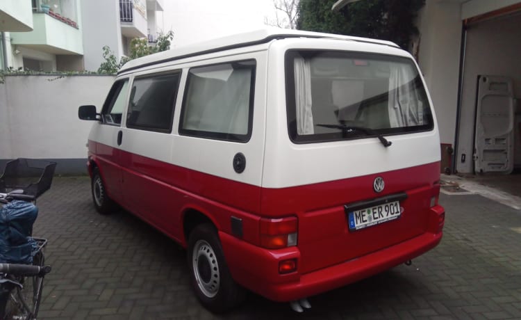 Red – CULT classic originele Westfalia California