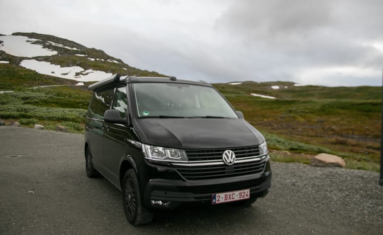 Suzan de campervan – 4p Volkswagen bus uit 2022