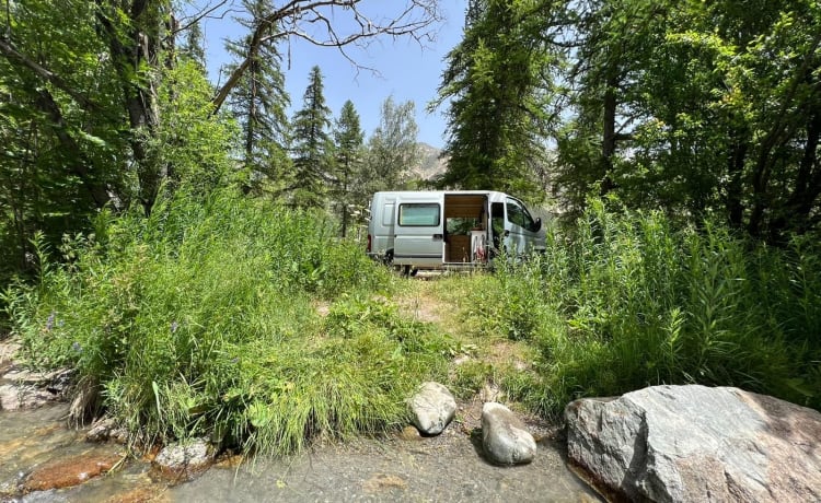 Fred – Cozy Bus Camper Automatic - Bringt Sie überall hin und zurück!