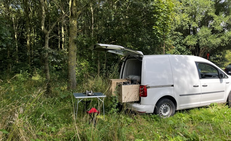 Caddyshack Cruiser – Camperini - Volkswagen Caddy