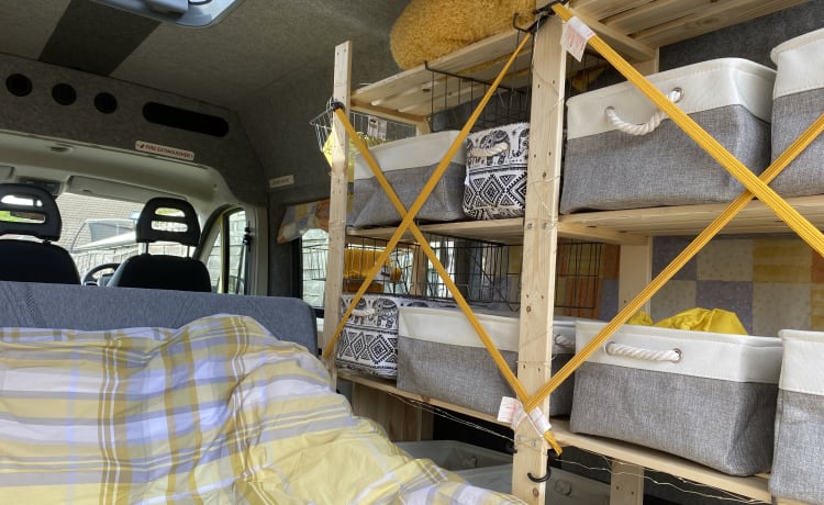 Vincent – un comodo camper Renault giallo con 2 posti letto del 2015