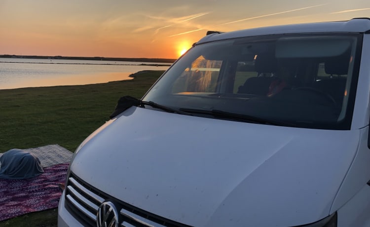 De Witte – Avontuurlijke Volkswagen California T6 - 4pers 