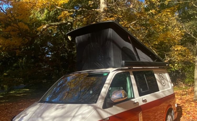 Velma – 4-persoons Volkswagen camper uit 2016
