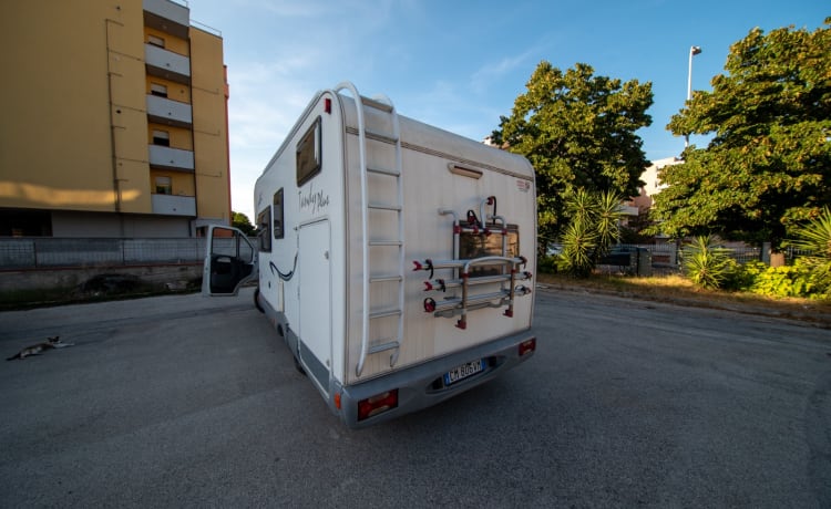 Tandy – Climatisation, générateur électrique et espace pour motos/vélos