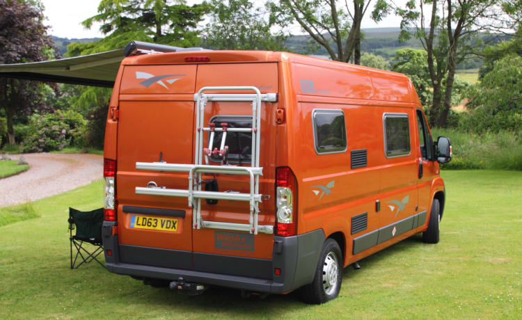 Betsy – Wildax Constellation 2/3 berth