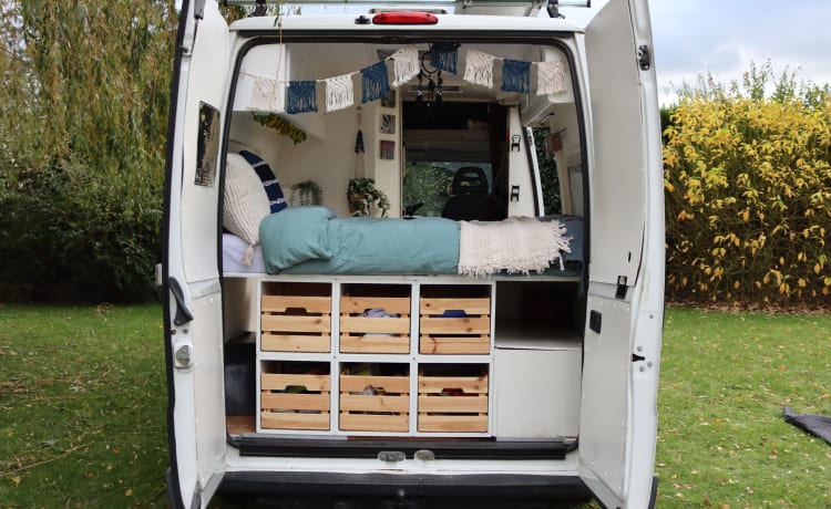 Bella de koe – 2p Fiat Ducato (ideal für Surfer und/oder Tierhalter) 