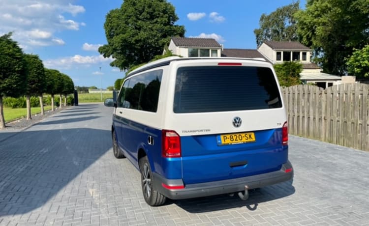 VW T6 Automaat – Aloha Beach Camper Blue