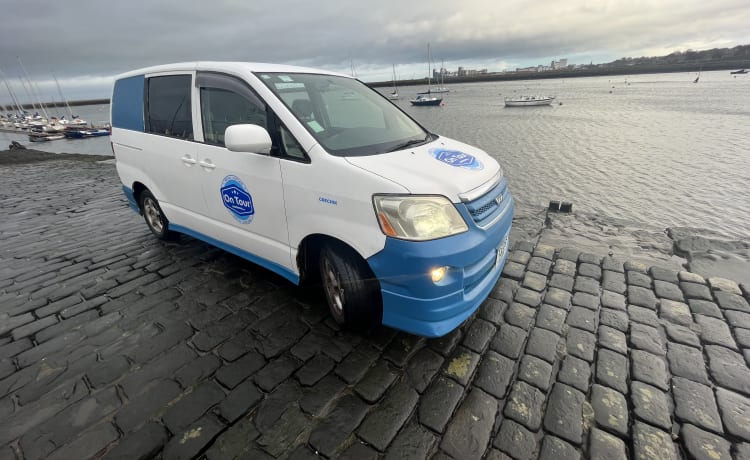 Grechik – Auto cozy van - insurance included 