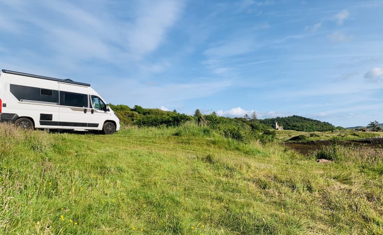 Experience the freedom of a compact bus camper