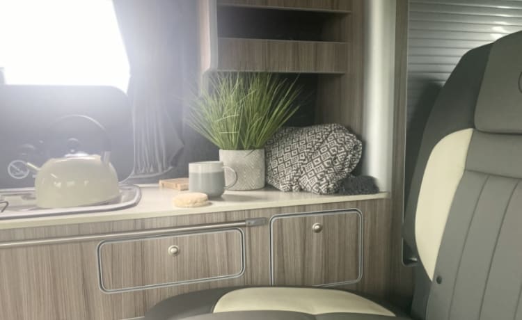 Tommy Tucker  – Lusso 4 posti letto Volkswagen Camper dal 2021