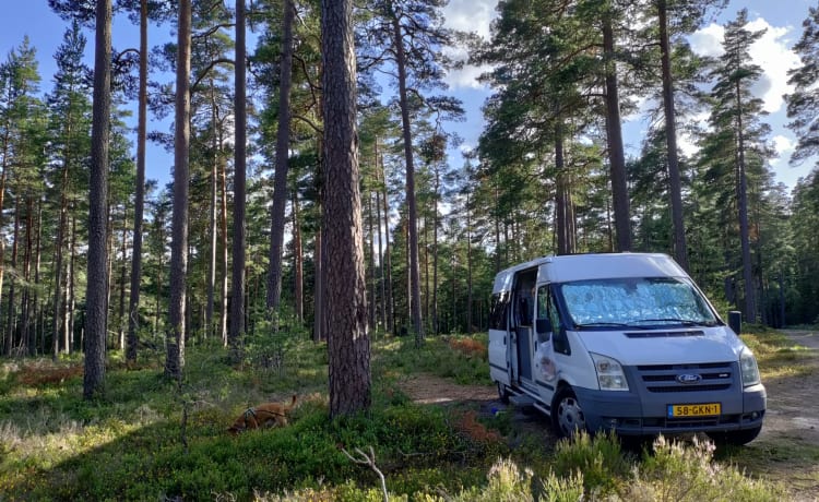 Ben the Van – Off-grid campervan geschikt voor familie met kleine kinderen 