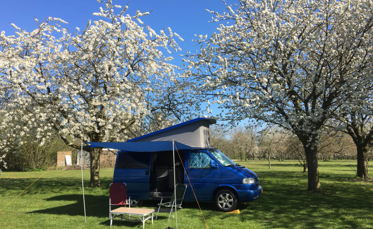 The Blue Diamond – Een krachtpatser van een Volkswagen T4 | 1 tot 4 personen | 2.5TDI - 115PK