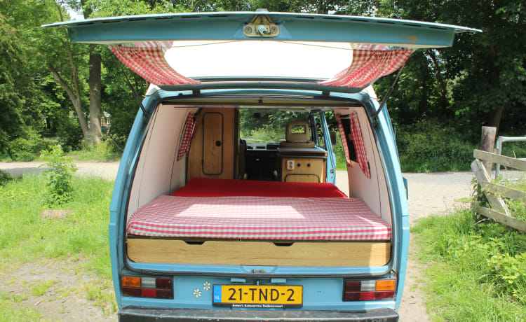 Mr. Blue – Cozy 2-4 person Volkswagen T3 from 1986!