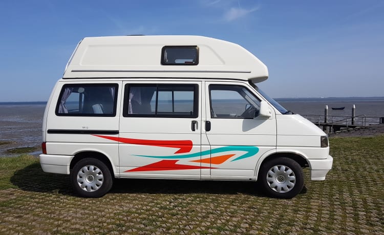 Volkwagen T4 California Hoogdak - Zeeland