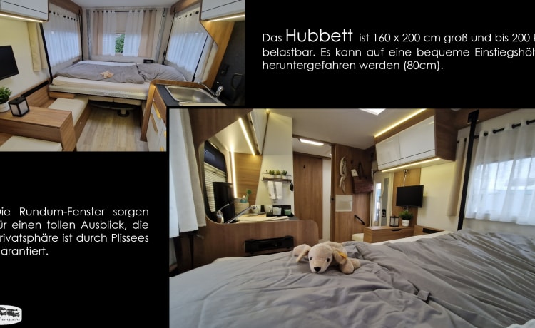 der U – (T) Floor plan with rear seating group: Pilote P696 U Evidence