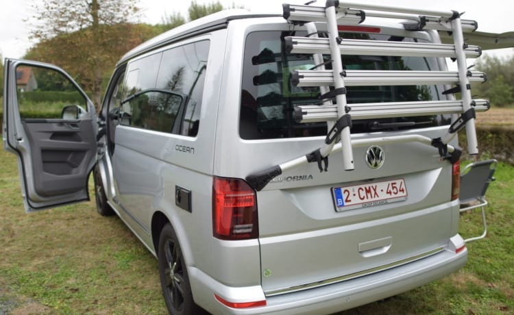 4 p Volkswagen California 2022