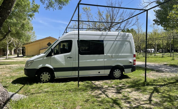 Reachervan – Tweepersoons Mercedes-Benz Sprinter