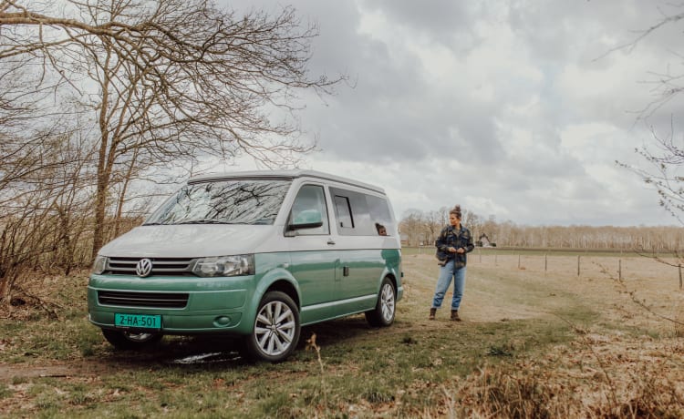 Ocean – Volkswagen Camper, 4 Personen komplett ausgestattet