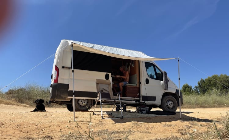 Surf Camper – Off Grid Camperbus Fiat Ducato L2H2 (pour les journées chaudes et froides)