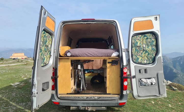 Volkswagen Campervan