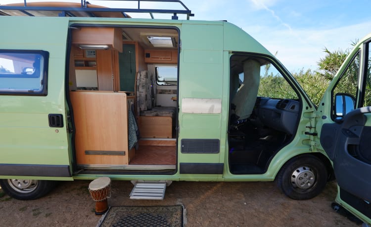 Minty – Menthe; Joyeux camping-car bus 2p de 2004, adapté au hors réseau et au surf !